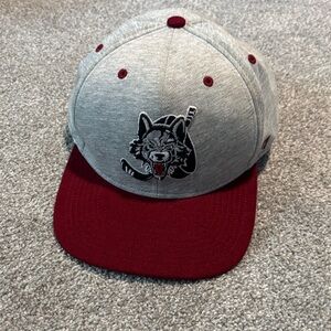 47 Brand Chicago wolfs hat